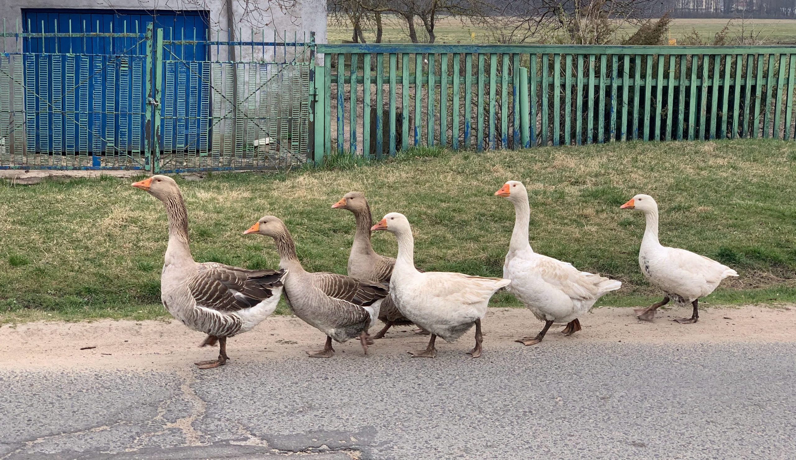 De 3 valkuilen van coaches